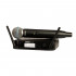 Прокат радиомикрофонов SHURE GLXD24E/B58 Z2 2.4 GHZ