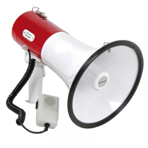 Рупор, орало директора кинокартины